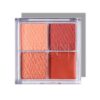 PALETA BLUSHES I  BEACH FACE